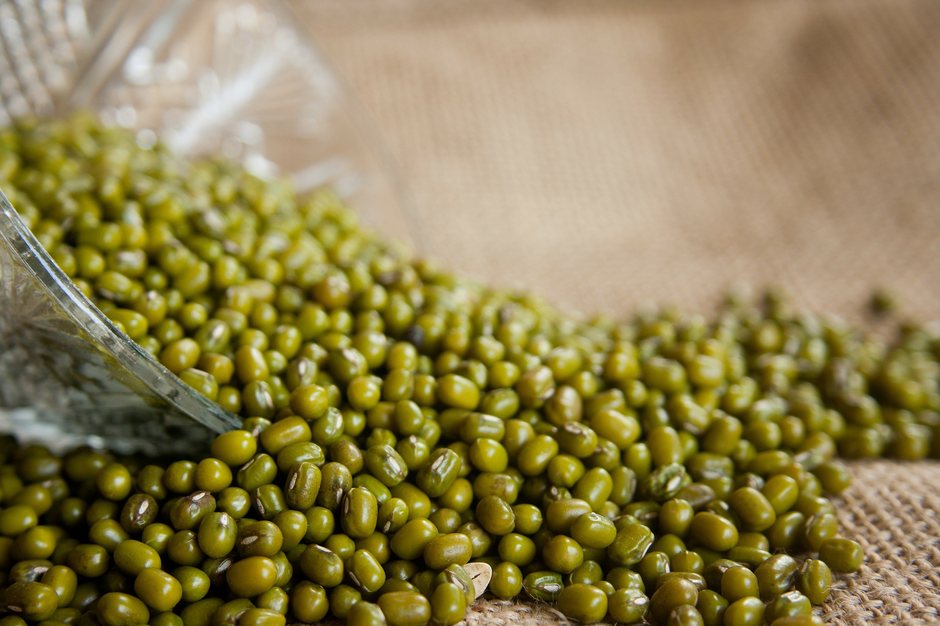 How to Prepare Mung Bean Cabbage Salad?